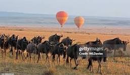 Tourism, Travel, Hospitality image